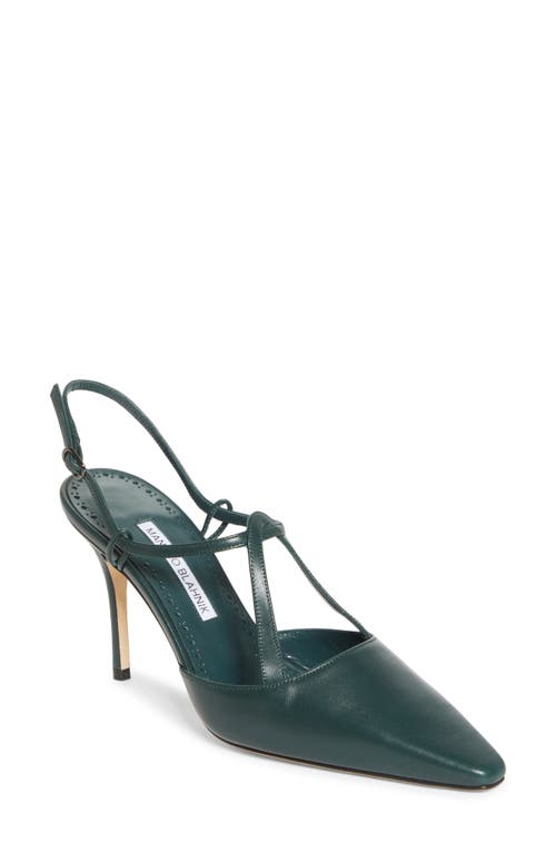 Manolo Blahnik Minia Pointy Toe T-bar Pump (women0 In Green