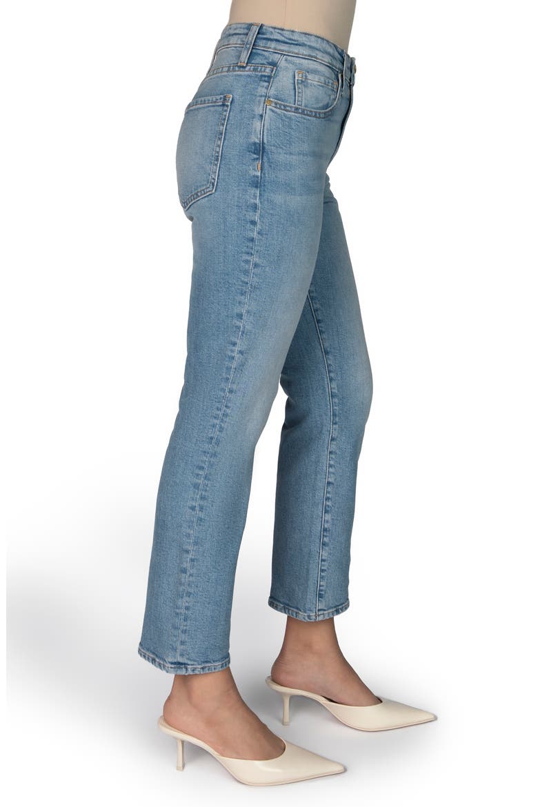The Gabi Petite Ankle Straight Leg Jean, Alternate, color, Sky
