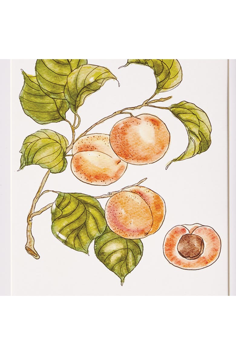 Autumnal Fruit Prints, Set of 4 - Pink/Orange - Fir Wood, Alternate, color, Pink