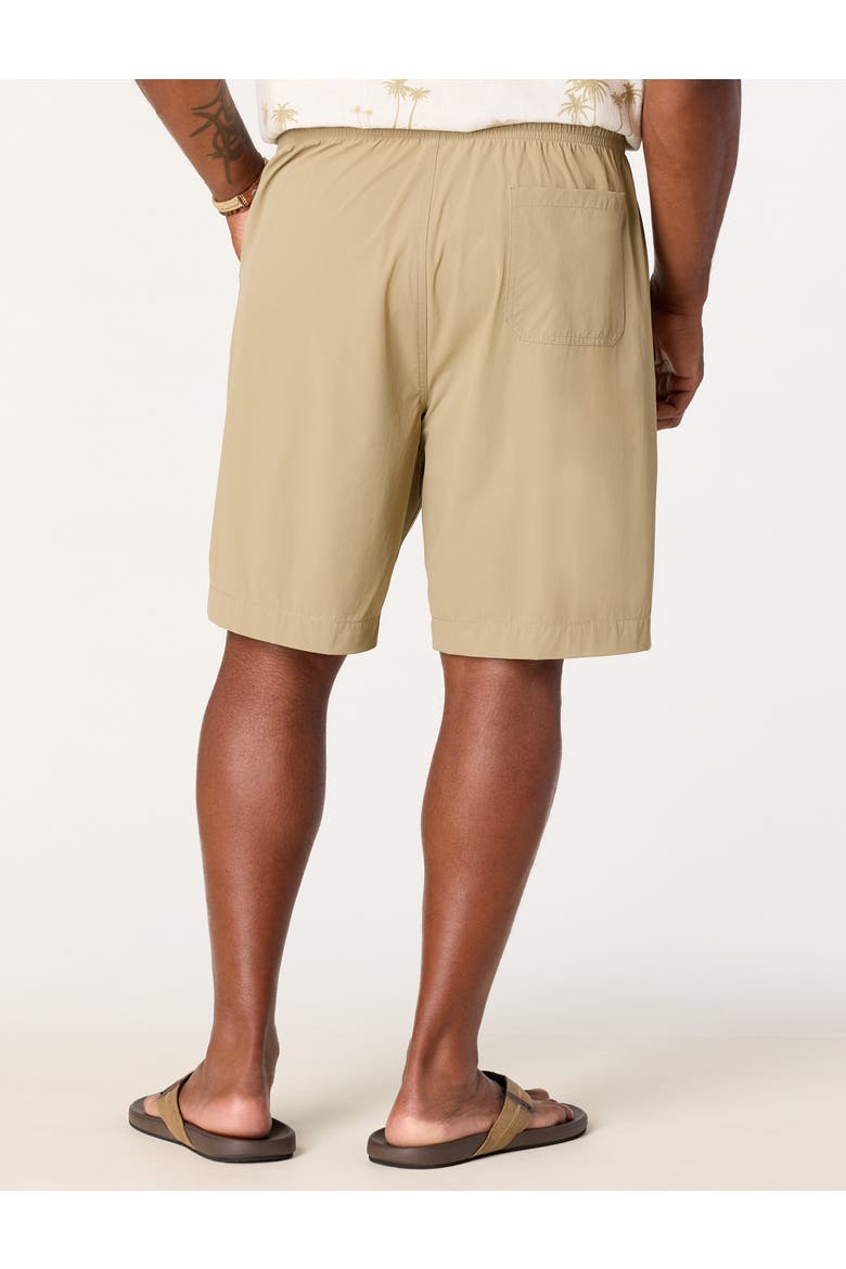 Big & Tall Pull-On Performance Stretch Shorts, Alternate, color, CORIANDER