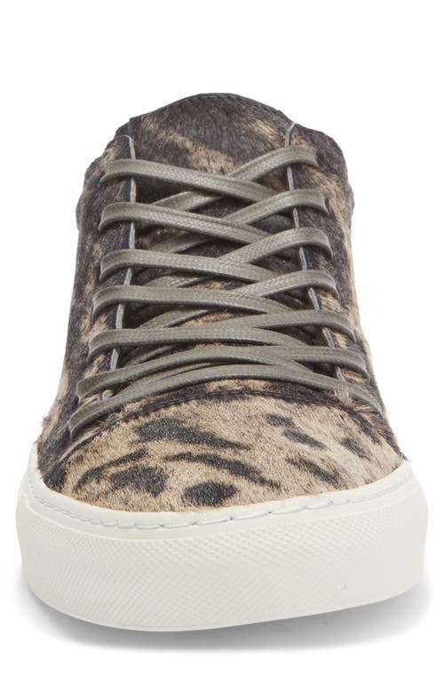 John Varvatos Reed Genuine Calf Hair Low Top Sneaker In Multi