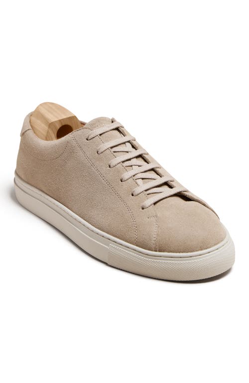 Myrqvist Oaxen Ii Sneakers In Nude