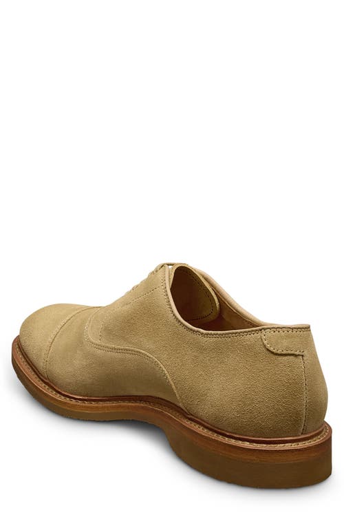 Allen Edmonds Park Verse Oxford In Bone