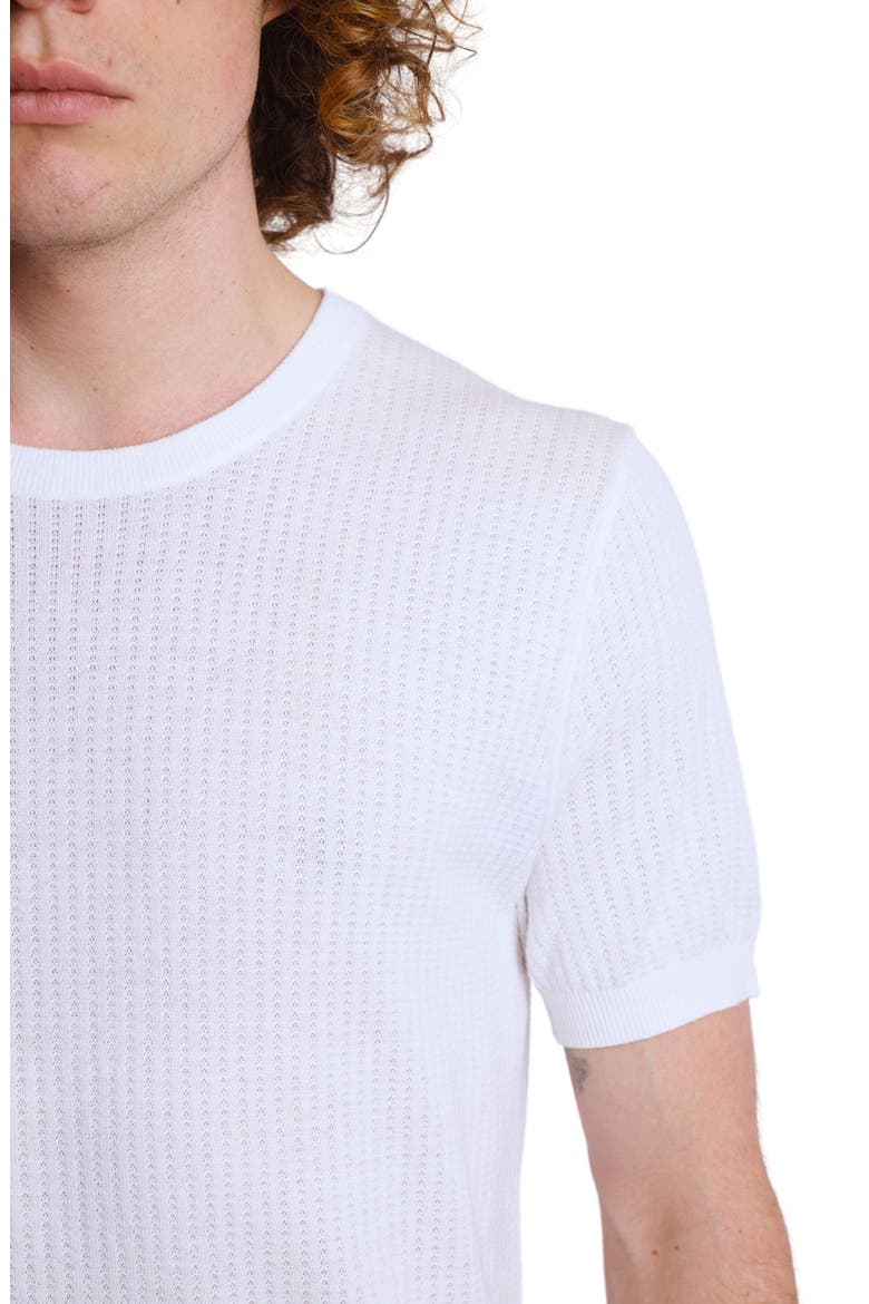 Pointelle Crewneck T-Shirt, Alternate, color, WHITE