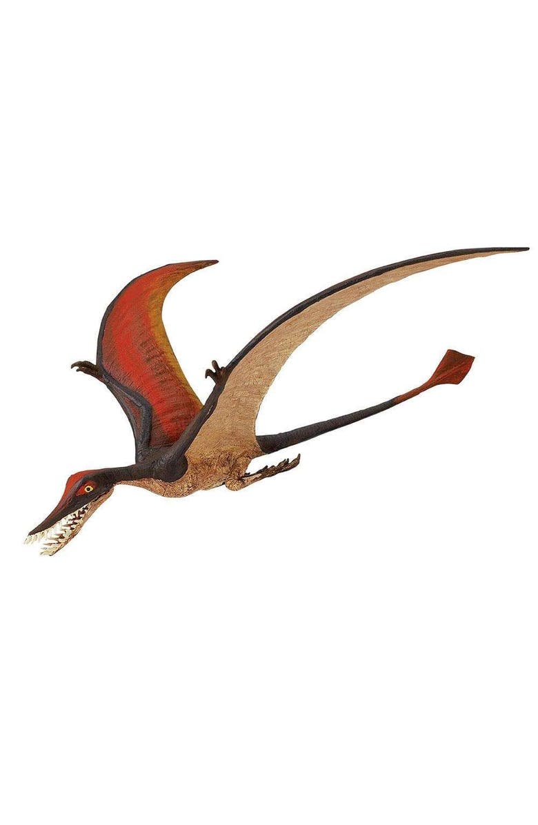 Safari Ltd. Rhamphorhynchus Toy, Main, color, NO COLOR