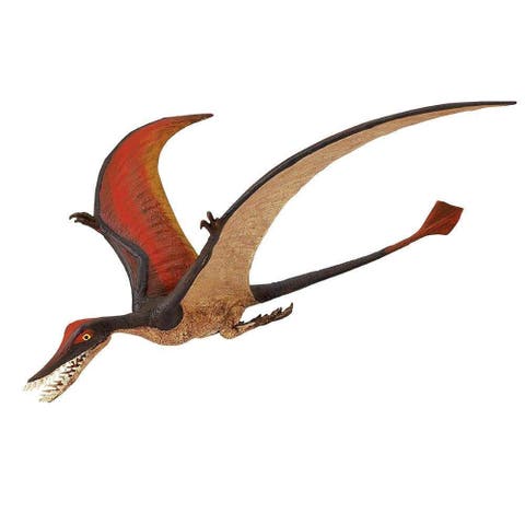 Rhamphorhynchus Toy
