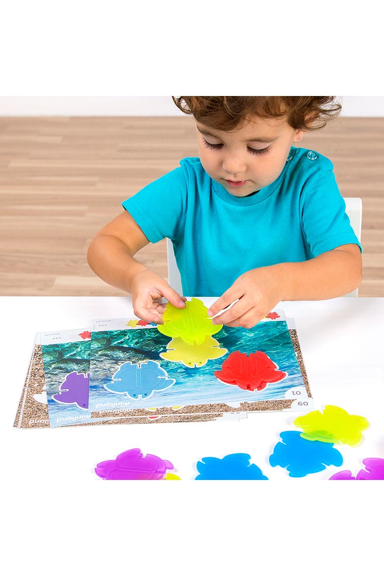 Translucent Math Turtles, Alternate, color, Multi