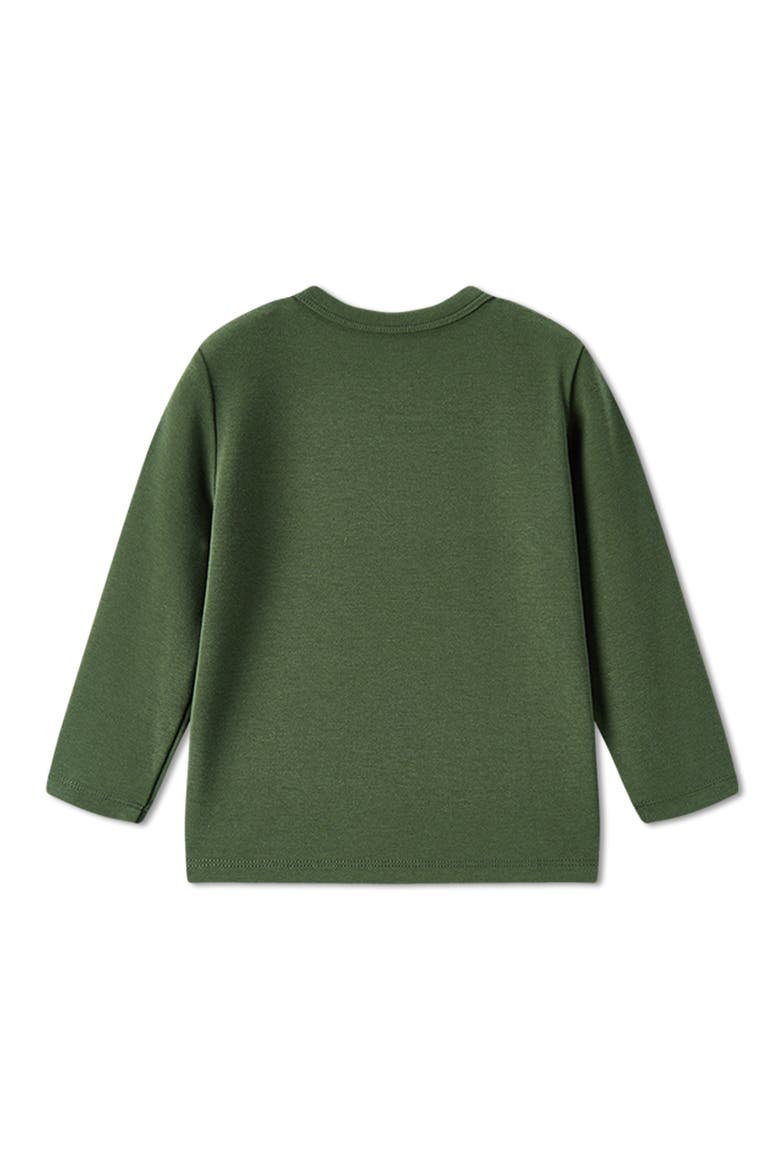 Brushed Long Sleeve T-Shirt, Alternate, color, Dark Green