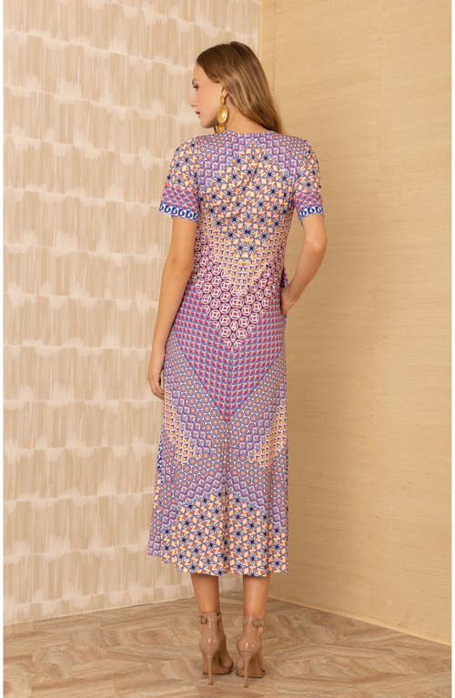 Hale Bob Rayne Jersey Maxi Dress In Multi