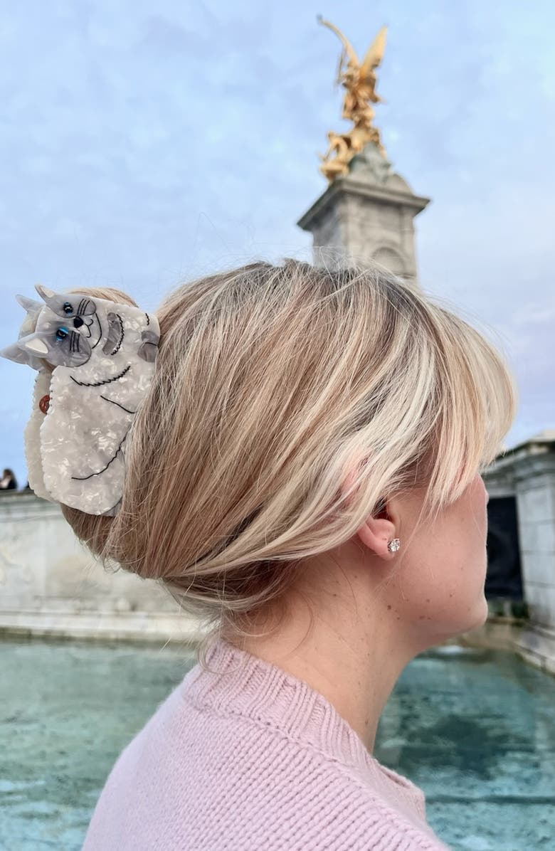 Solar Eclipse Ragdoll Cat Claw Hair Clip, Alternate, color, Grey