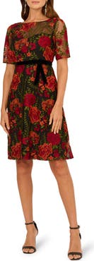 Adrianna Papell Floral Embroidered Cocktail Dress