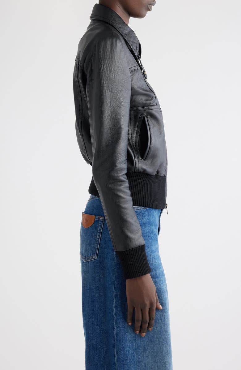 Chloé Sheepskin Leather Bomber Jacket, Alternate, color, 