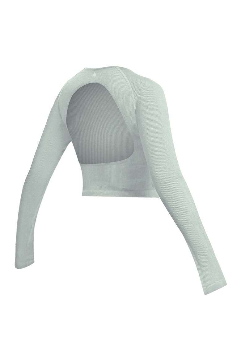 Synergy Open Back Long Sleeve, Alternate, color, Mint