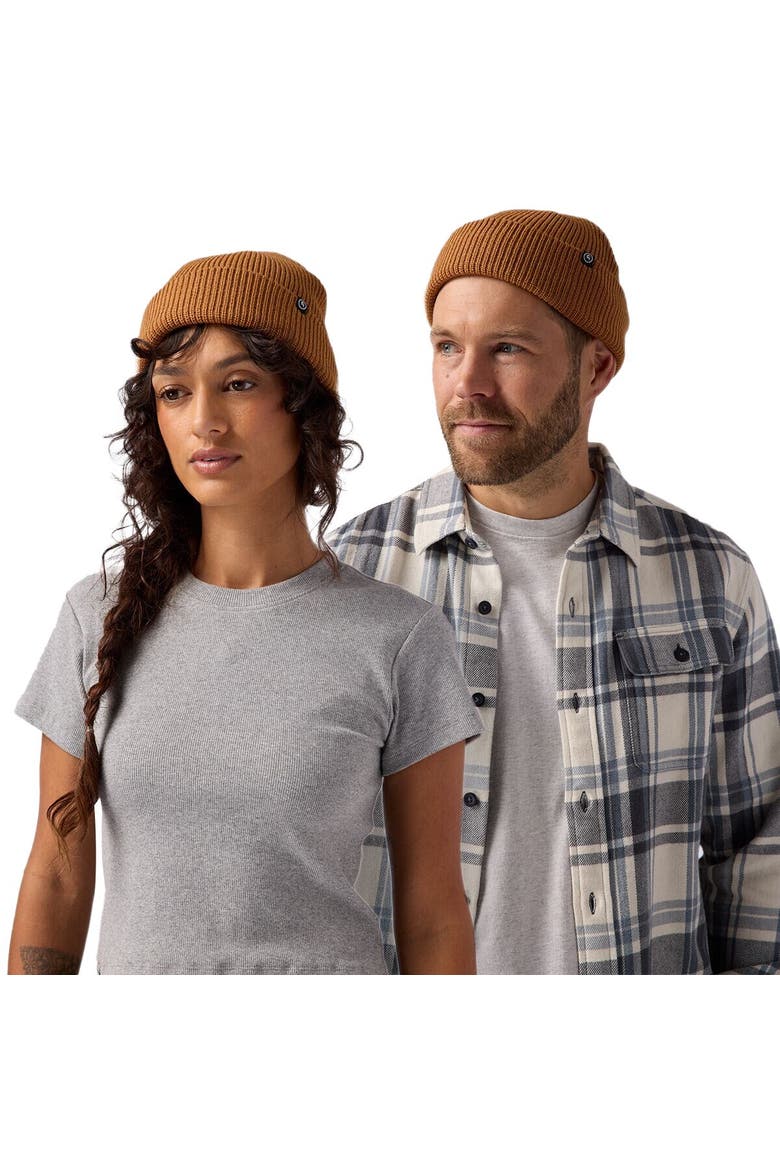 Capra Rolled Beanie, Alternate, color, Bistre