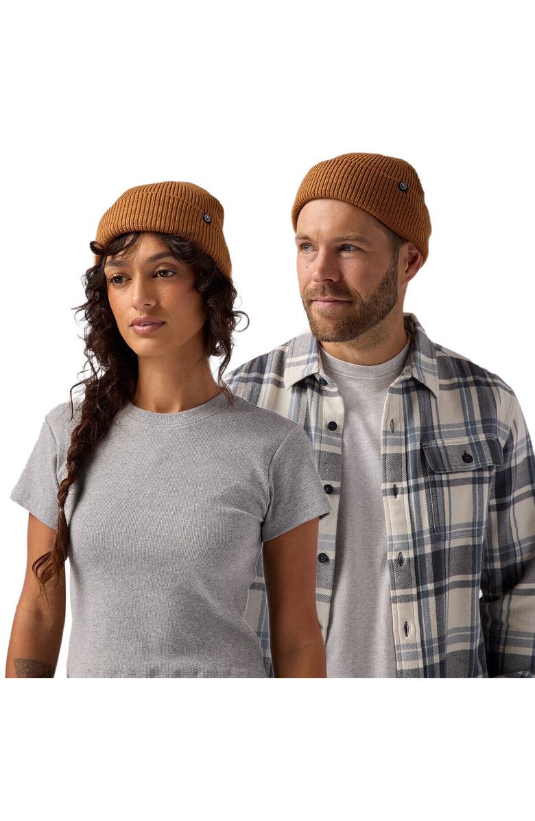Backcountry Capra Rolled Beanie, Alternate, color, Bistre