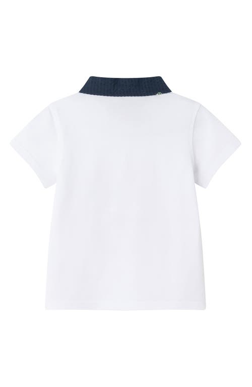 Andy & Evan Tipped Polo & Seersucker Shorts Set In White