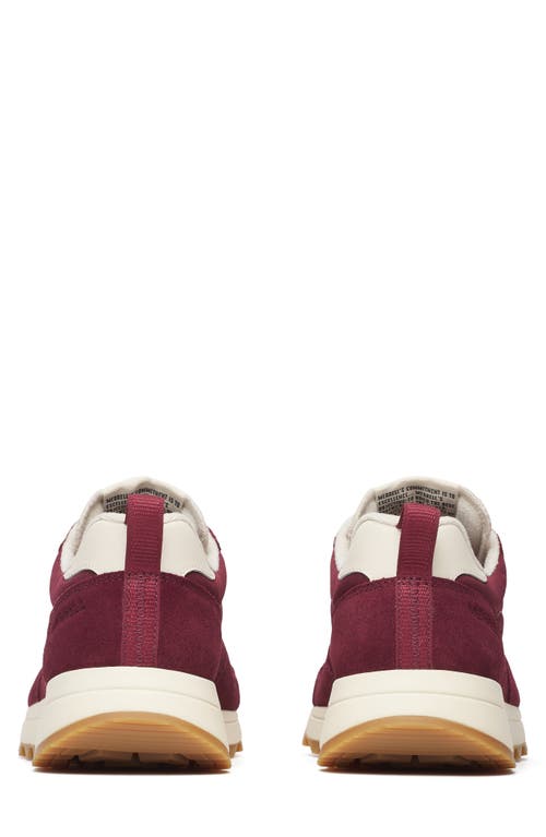 Merrell Alpine 83 Sneaker In Syrah