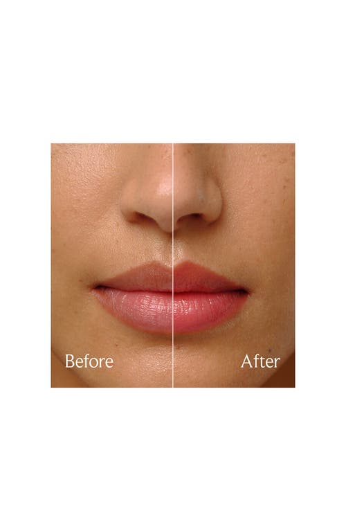 Fresh Sugar Treat Hydrating High Shine Lip Oil Berry - Rich Plum 0.15 Oz/4 G In Purple