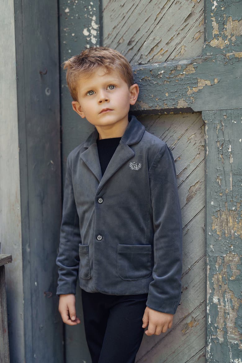 Crest Embroidered Velvet Jacket, Alternate, color, Black