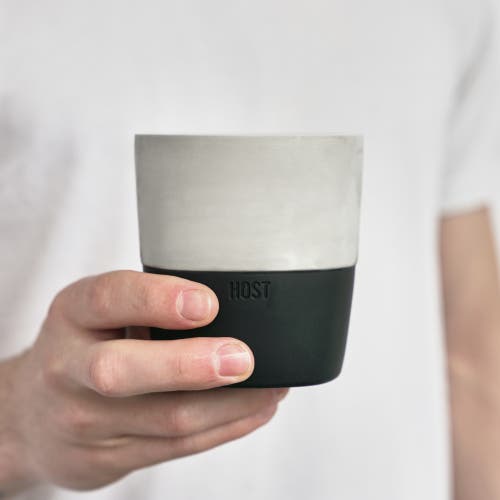Host Stainless Steel Whiskey Freeze Pro Cooling Cup In Silver