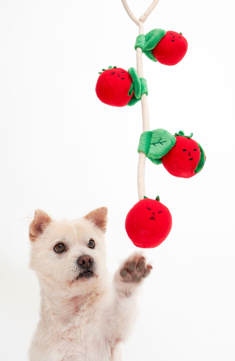 the furryfolks Cherry Tomato Nosework & Tug Toy, Alternate, color, Red