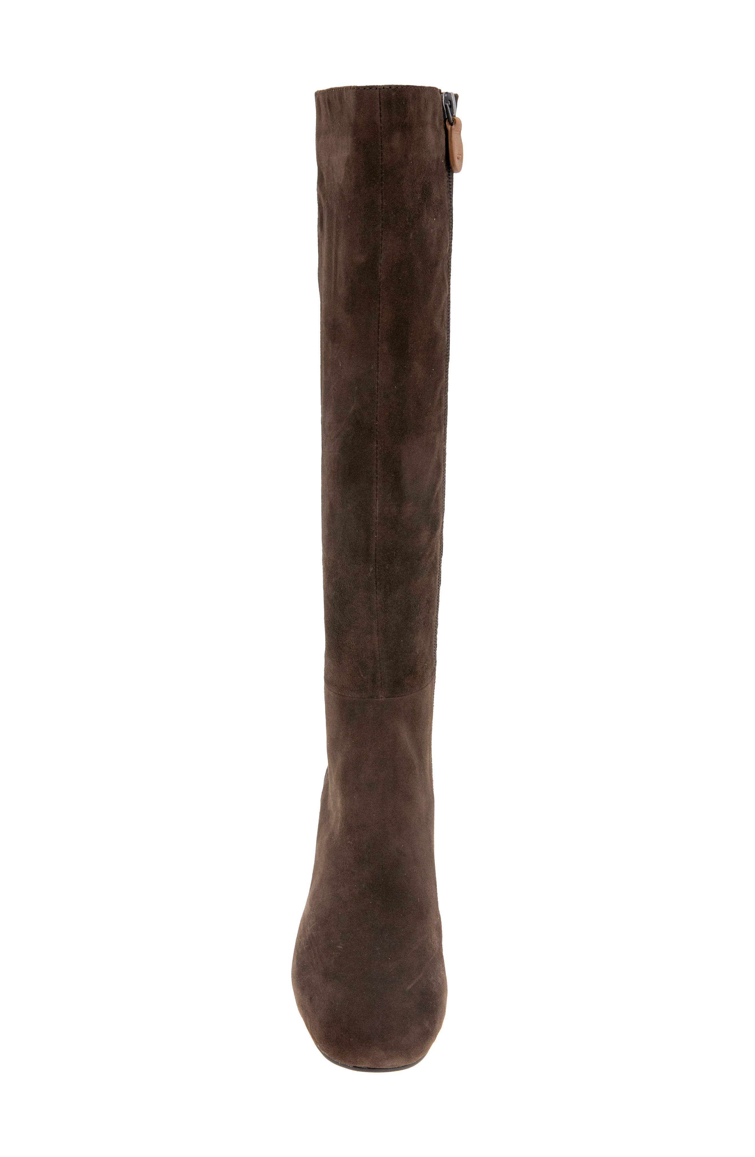Gentle Souls Emily Stretch Knee High Boot, Alternate, color, Chocolate Suede