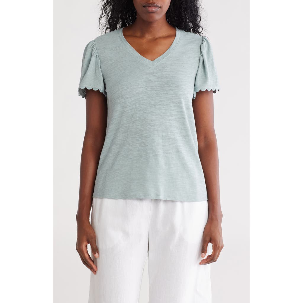 Shop Caslon ® Scallop Trim T-shirt