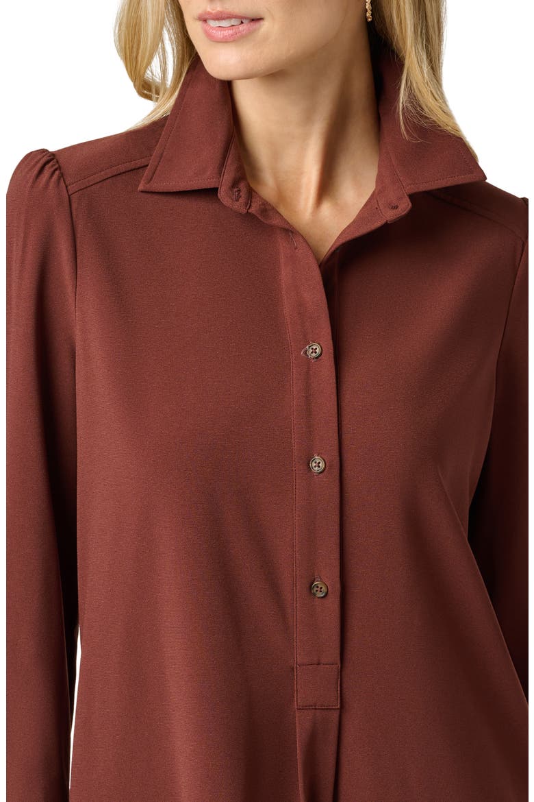 Hailey Button-Up Shift Shirtdress, Alternate, color, CHOCOLATE