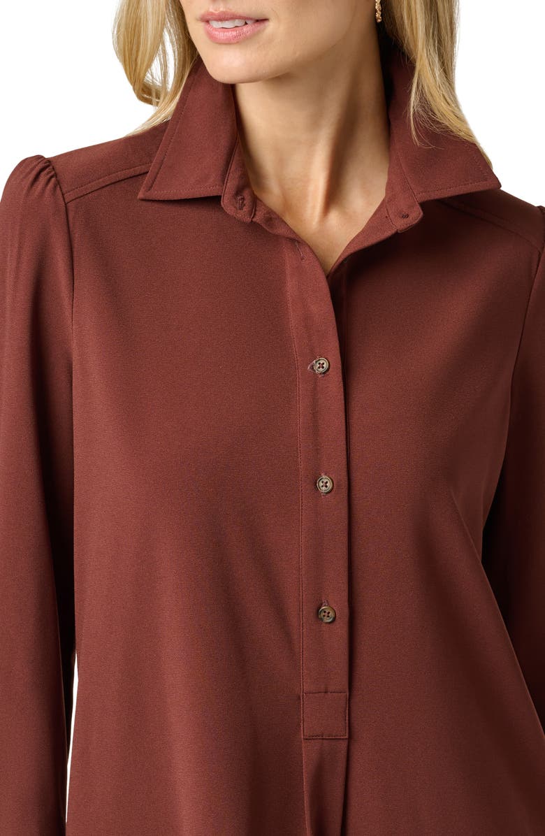 Adrianna Papell Hailey Button-Up Shift Shirtdress, Alternate, color, Chocolate