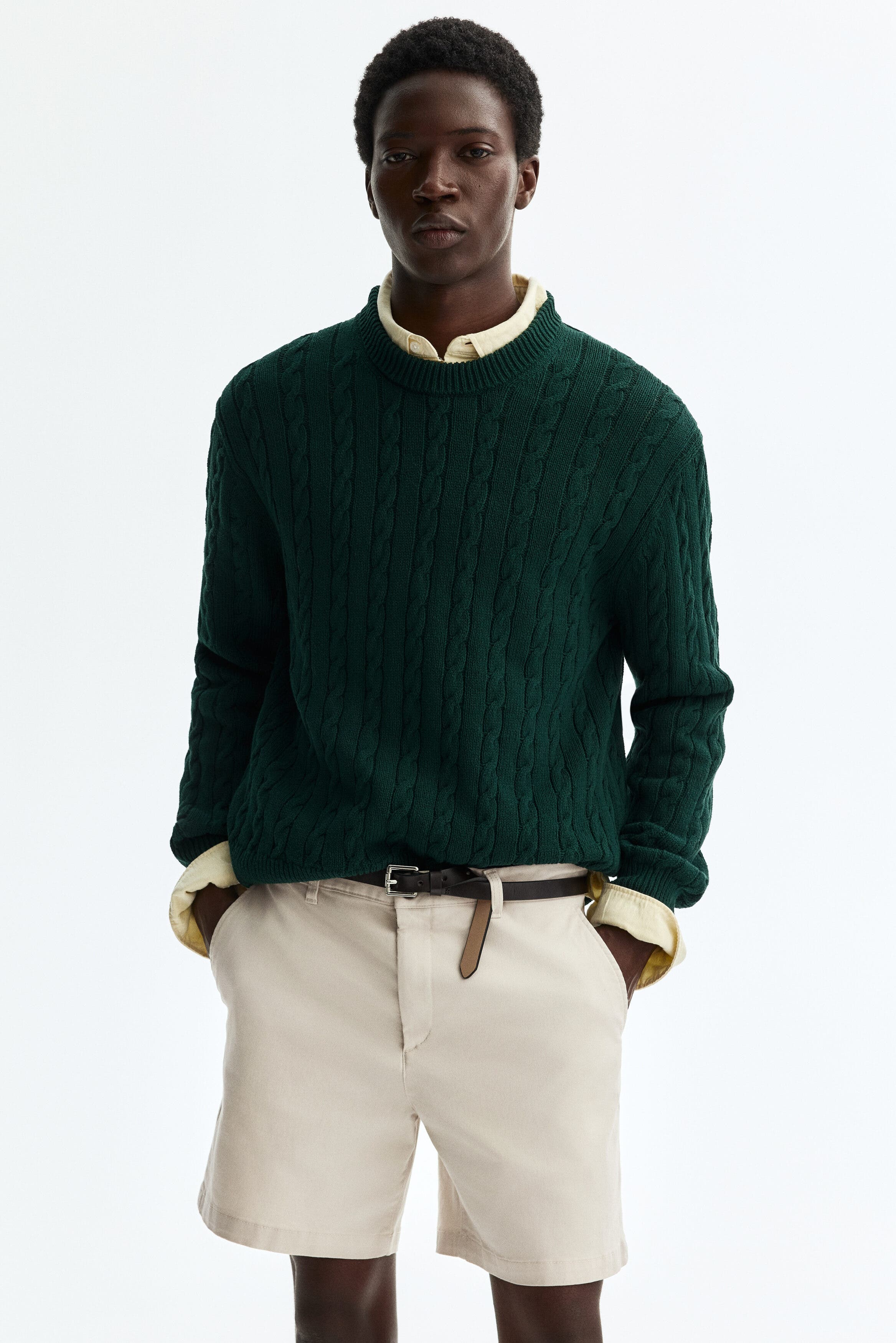 Regular Fit Cotton Chino Shorts - image 4