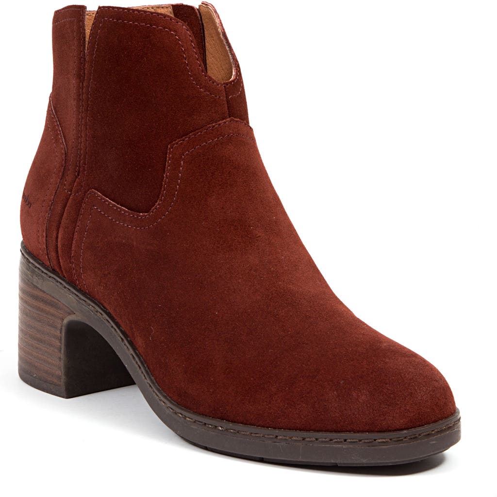 Jambu Vanda Bootie In Brown