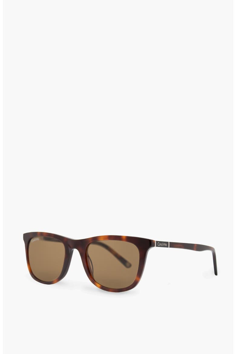 Sunglasses Old Town, Alternate, color, Brown