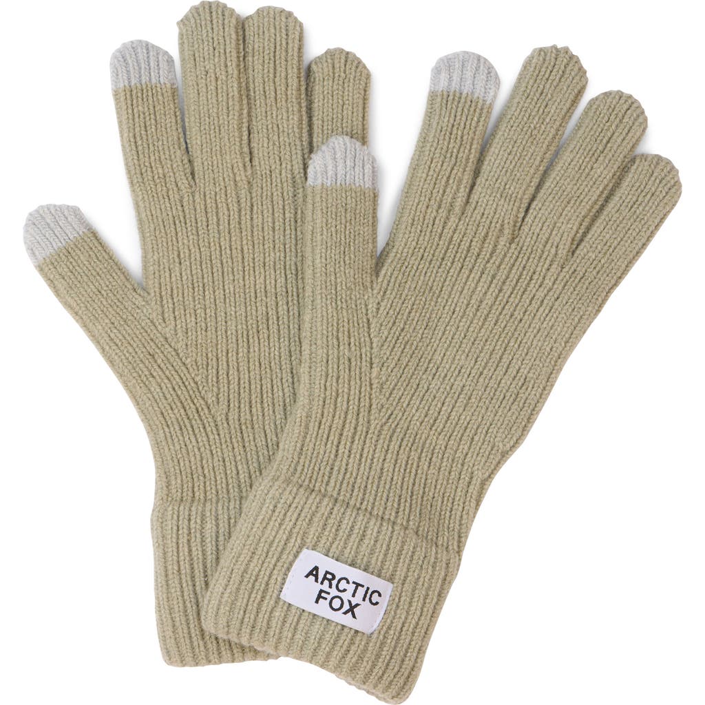 Arctic Fox & Co. Arctic Fox & Co The Recycled Bottle Gloves In Green