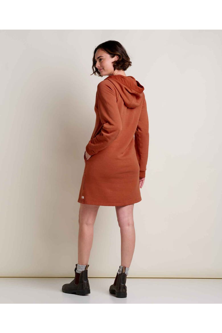 Fernscape Long Sleeve Hooded Dress, Alternate, color, Dark Roast