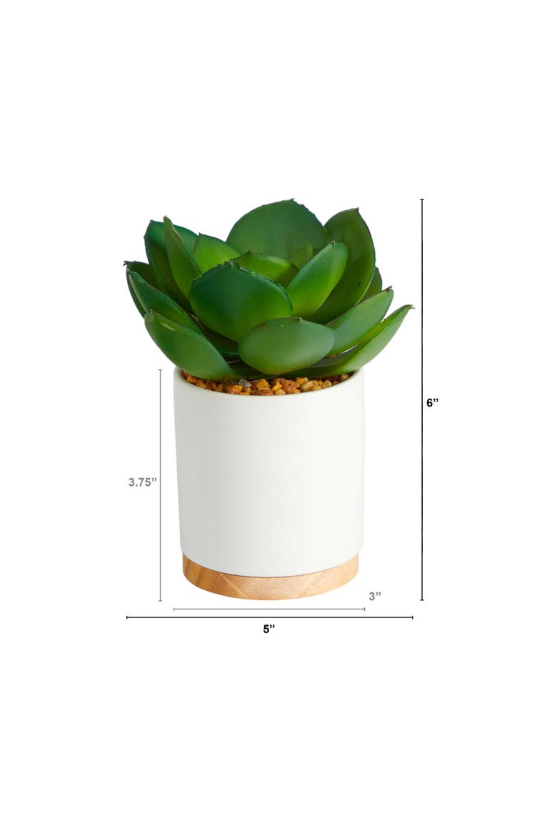6-in Succulent Artificial Plant in White Ceramic Planter, Alternate, color, Green