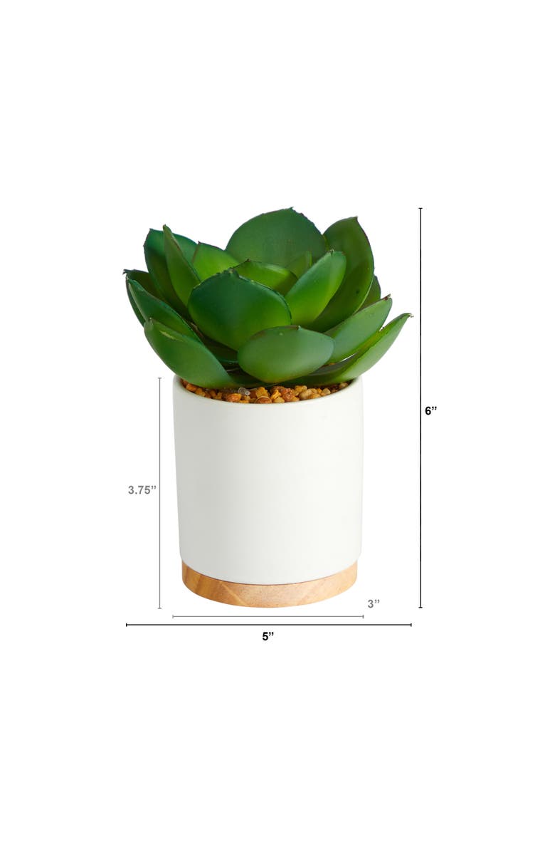 NEARLY NATURAL 6-in Succulent Artificial Plant in White Ceramic Planter, Alternate, color, Green