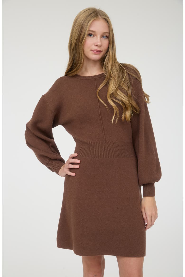 Tie Back Long Sleeve Minidress, Alternate, color, BROWN