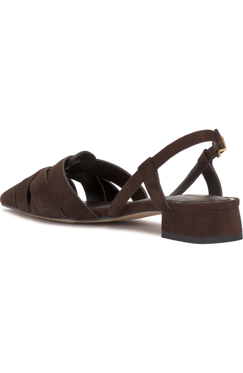 Vince Camuto Vinesha Slingback Pointed Toe Pump, Alternate, color, Brownie