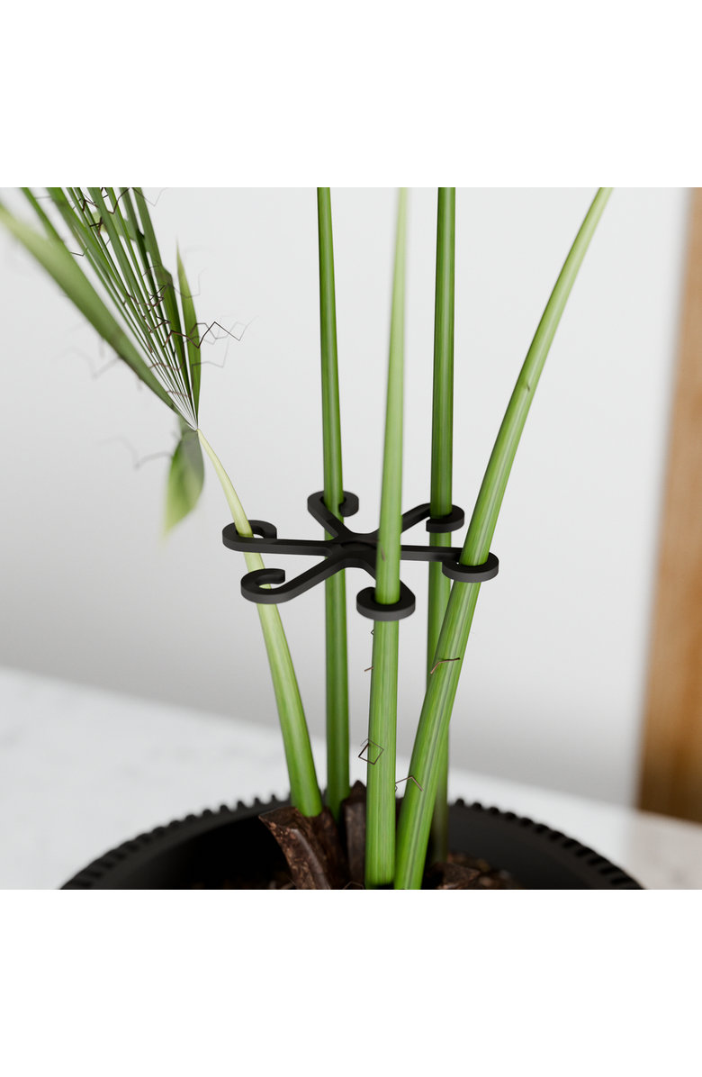 Modernized Pottery Climbing Plant Stem Support Stakes - 12 Pack, Main, color, Black