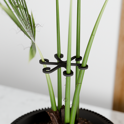 Climbing Plant Stem Support Stakes - 12 Pack