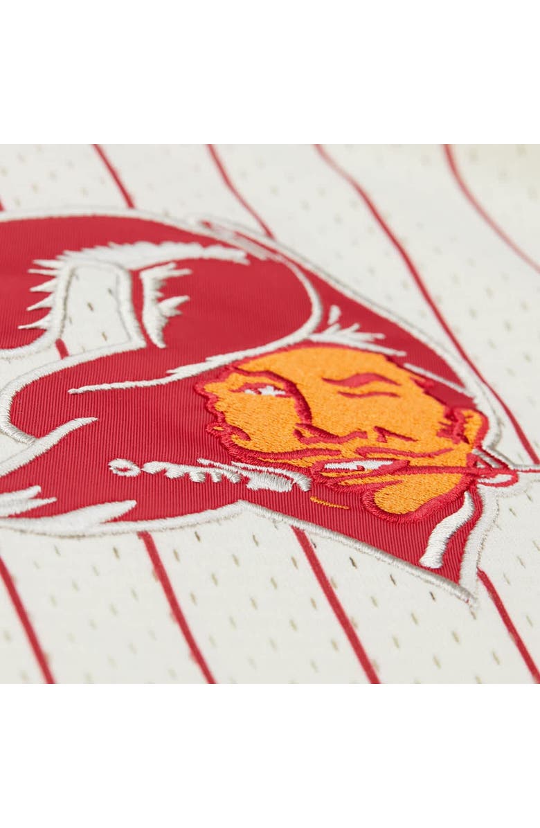 Mitchell & Ness Men's Mitchell & Ness  Cream Tampa Bay Buccaneers Final Seconds Vintage Logo Mesh Button-Up Shirt, Alternate, color, 