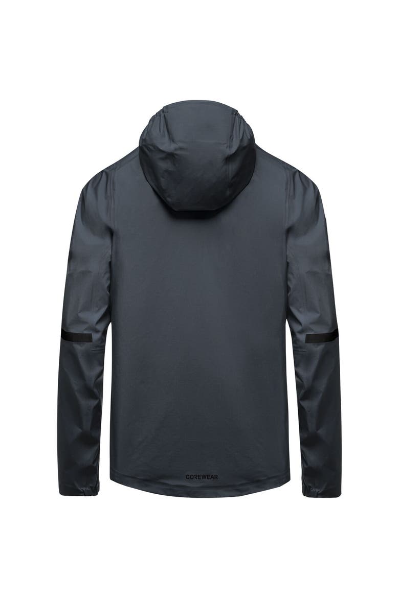 Lupra 2.0 Gore-Tex Hooded Jacket - Men's, Alternate, color, Lab Graphite