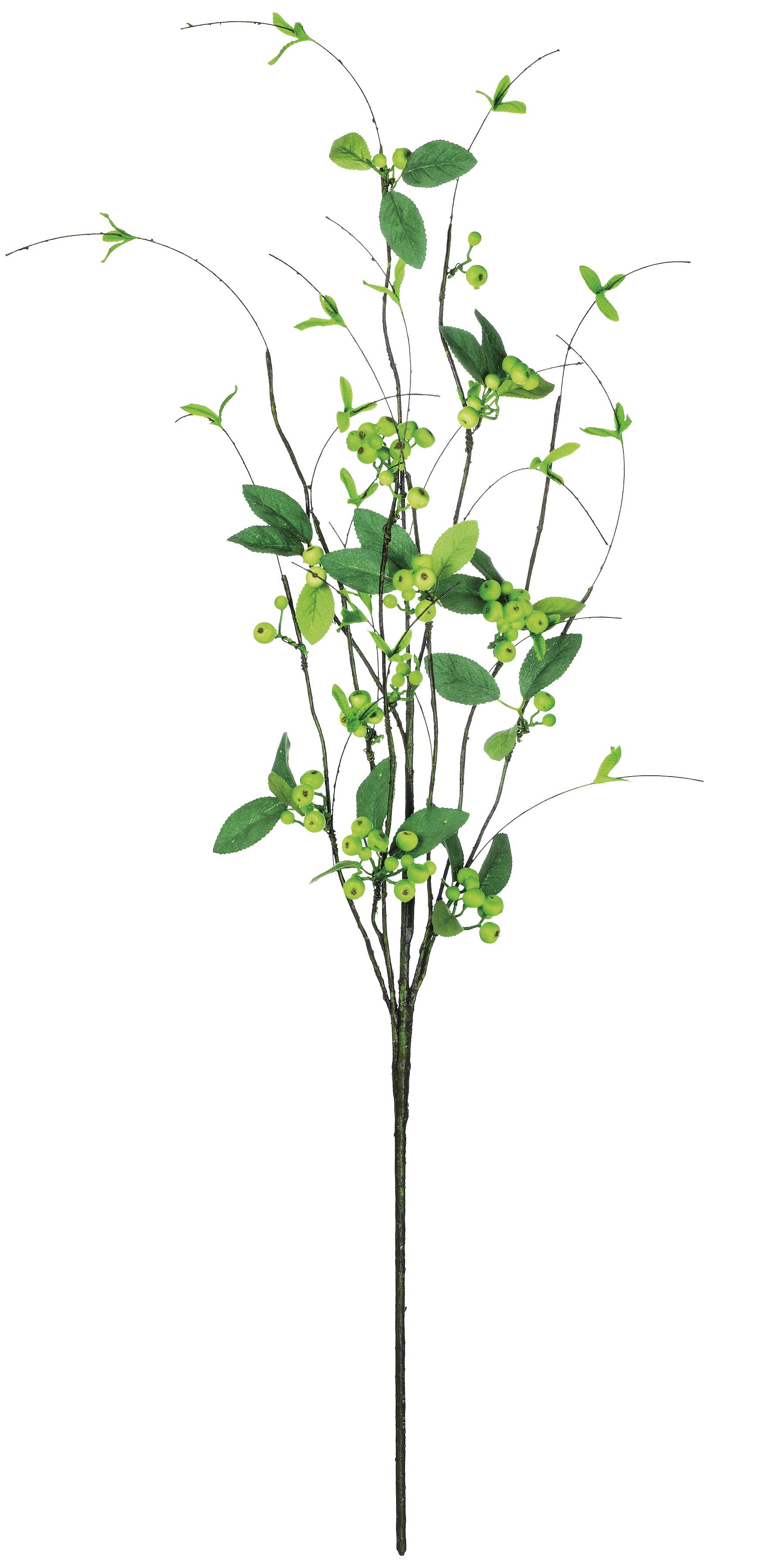 selected Green