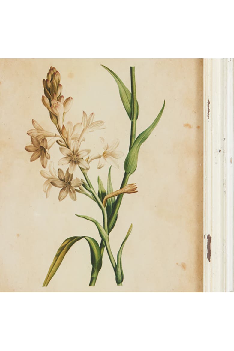 Framed Wild Flower Botanical Prints Set of 12, Alternate, color, Beige