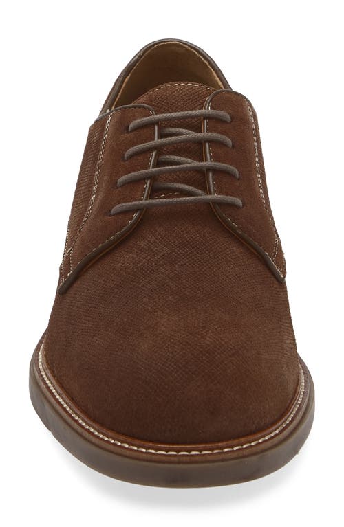 Steve Madden Almaty Derby In Brown