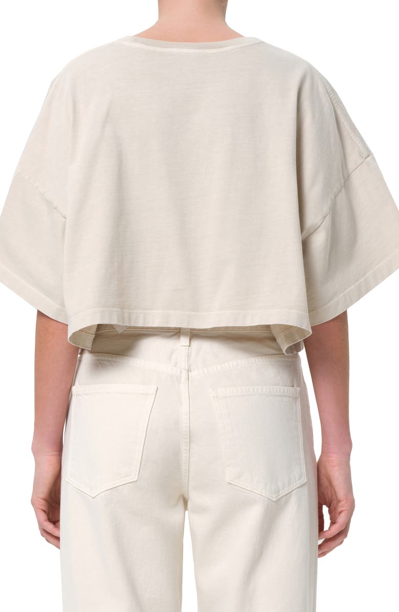 AGOLDE Arli Oversize Cotton Crop T-Shirt, Alternate, color, Brown Rice