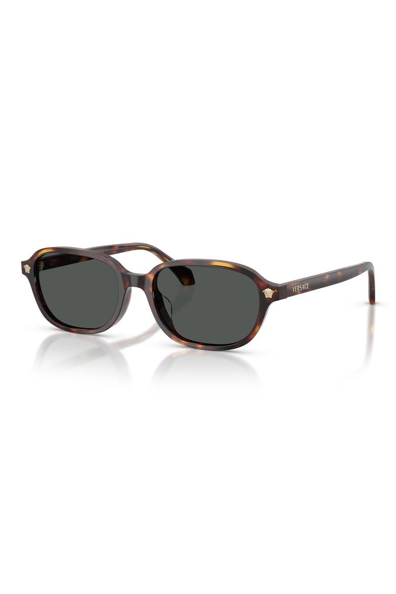 53mm Pillow Sunglasses, Alternate, color, HAVANA / DARK BROWN