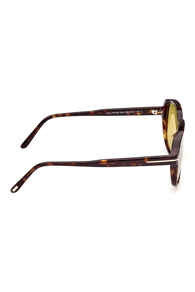 Anton 59mm Square Sunglasses, Alternate, color, DHAV/BRN