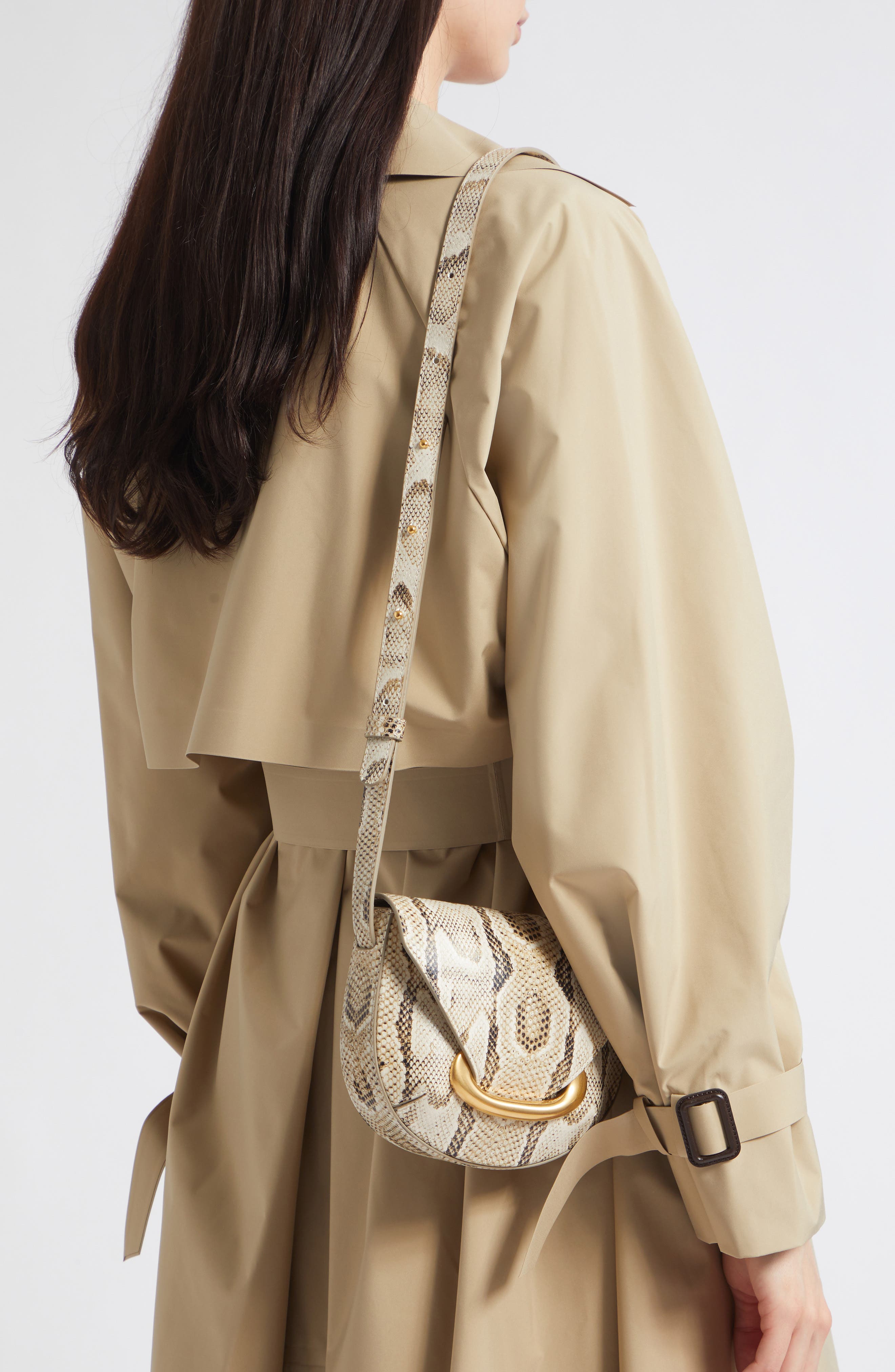 Small Veneto Snakeskin Leather Crossbody Bag, Alternate, color, ISLAND PYTHON