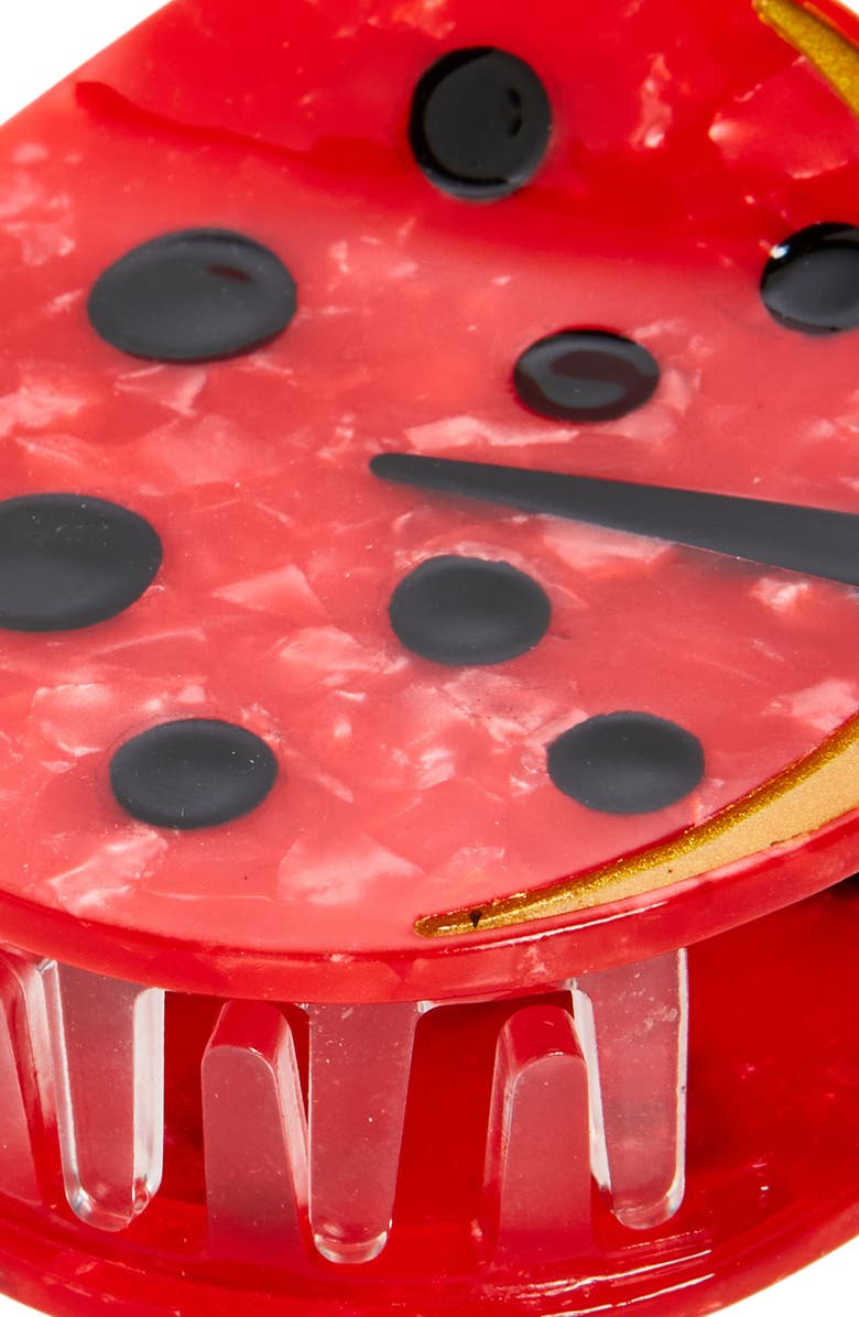 Solar Eclipse Ladybug Claw Clip, Alternate, color, 